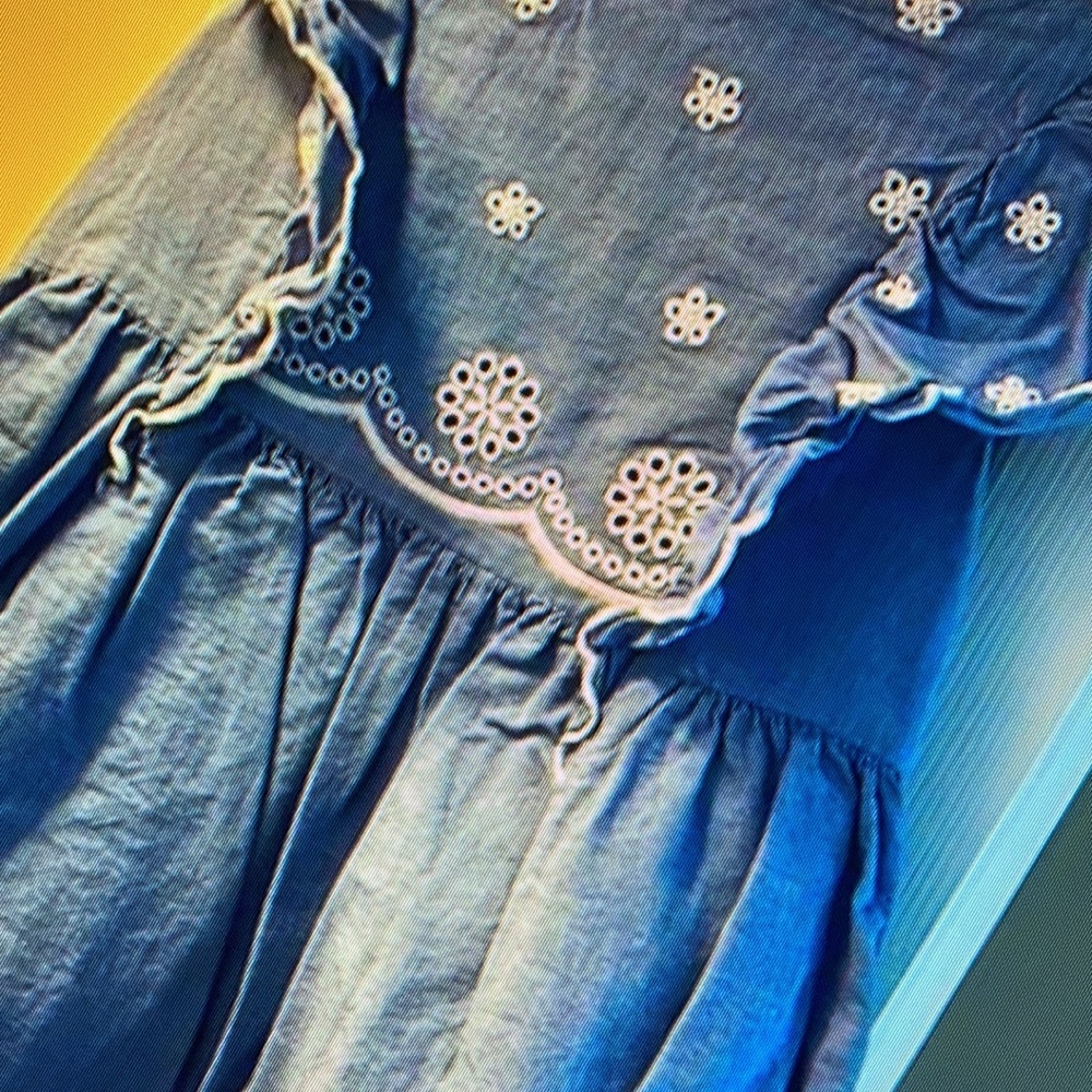 Floral embroidery features ruffle dress